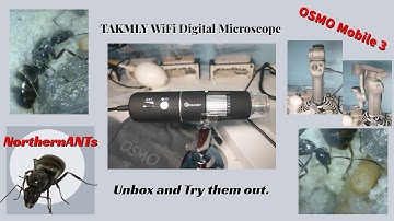 TAKMLY WiFi Digital Microscope, OSMO Mobile 3 Unbox. Formica Fusca, 1970 ski doo Olymqic 399cc