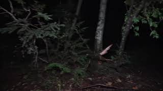 Aokigahara Second Ghost hunt volume boosted 36db