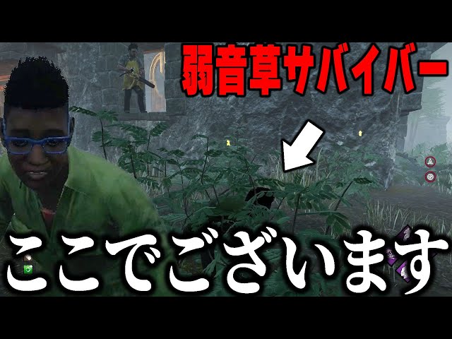 弱音と草の組み合わせが最強だと思ってる【デッドバイデイライト】