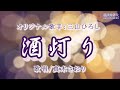 酒灯り (三山ひろしさん)唄/真木さおり