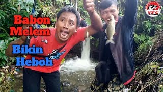 Strike Ikan Melem/Nilem Babon Di Selokan Kecil.. MANTAPP!!
