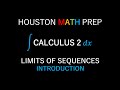 Understanding Limits of Sequences
