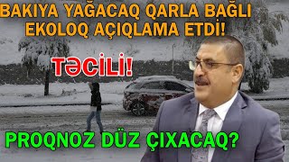 Bakıya Yağacaq Qarla Bağlı Ekoloq Proqnozları Alt-Üst Etdi̇