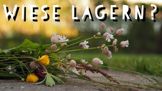 Wiese Haltbar Machen Pfötchenbande