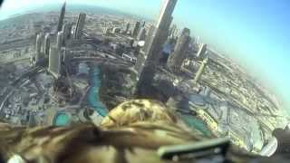 admire the magnificent Dubai from on an eagle