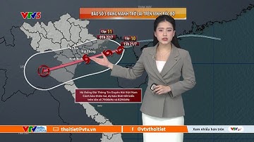 Dự báo thời tiết ngày mai 22/07/2025 | Bão số 3 đang mạnh trở lại | VTVWDB