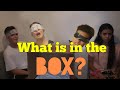 What's in the box challenge ft. Bailey, Josh, Hina and Sabina!