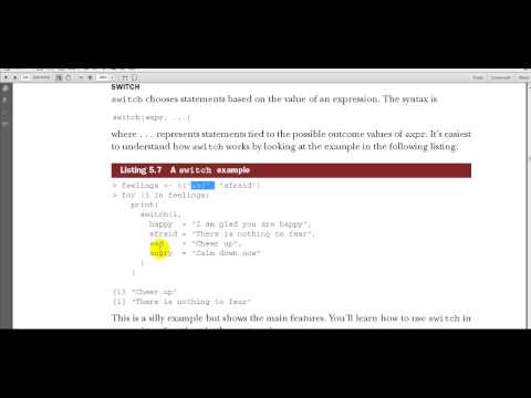 R programming Chapter 5 part 19 writing your own functions part 5