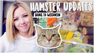 No More Hamster Room | Hamster Updates