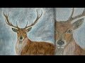 Reindeer Painting | watercolor pencils | How to Paint a Reindeer