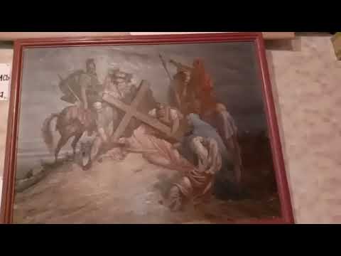 Кормление кошек, разборки ними: кто главный? 24.02.2020