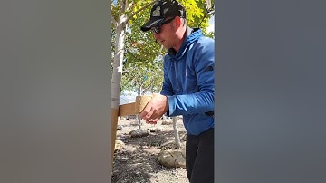 Tree Wrap: what it is, when & how to apply it, & why you definitely need to use it!