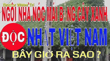 Ngôi nhà nóc toàn bằng cây xanh độc nhất ở Việt Nam, bây giờ ra sao ? | Doctor Water Trí