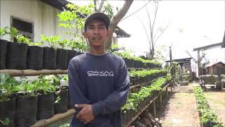 BUDIDAYA TANAMAN STRAWBERRY DI DATARAN RENDAH SEBAGAI INOVASI DALAM PEMANFAATAN PEKARANGAN RUMAH