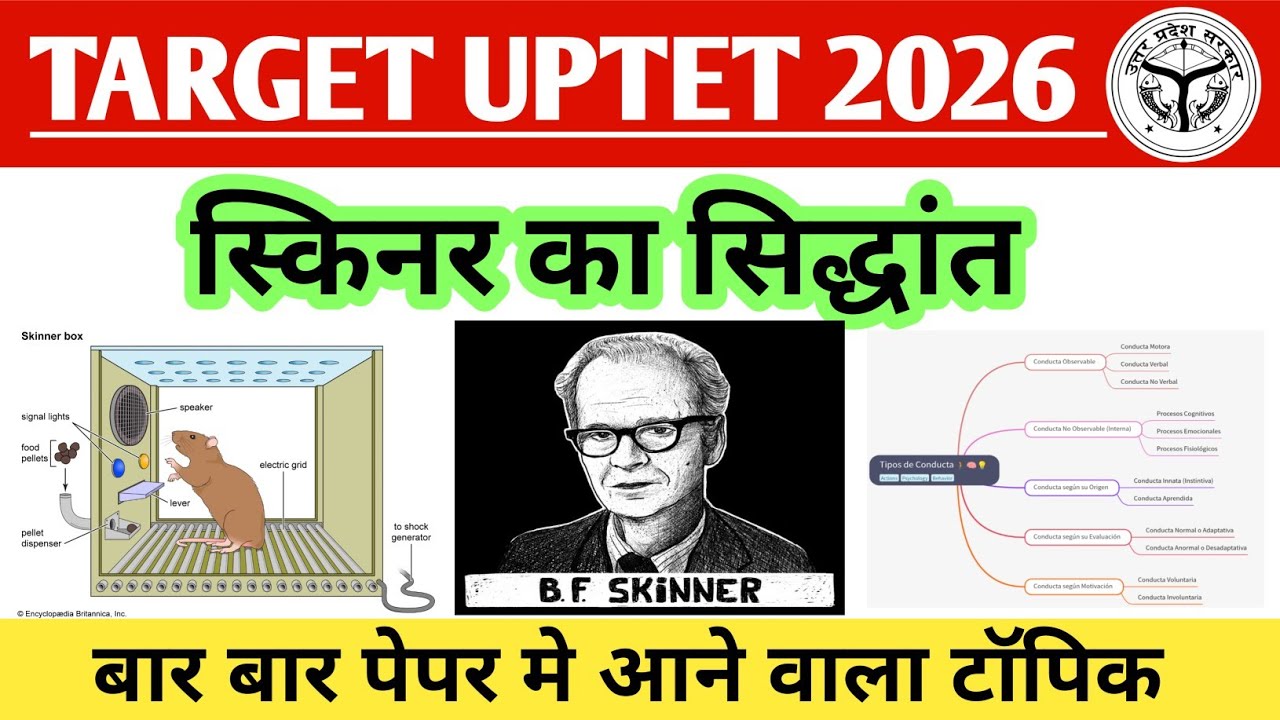 UPTET 2026 | CDP | स्किनर का सिद्धांत | Skinner Operant Conditioning Theory | Most Important Topic