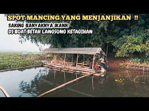 SPOT MANCING YANG MENJAJIKAN - YAKIN DI BIKIN BETAH DAN KETAGIHAN - MANCING MANIA