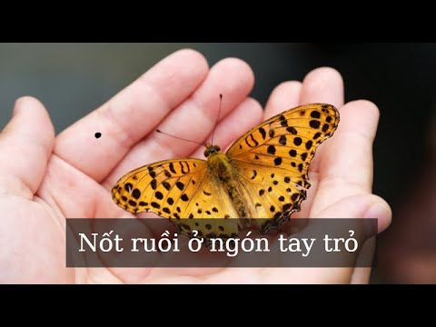 Video Nhìn nốt ruồi ở ngón tay trỏ đoán tính cách vận mệnh - youtube