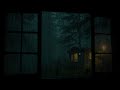 Soft Rainy Night Window Scene with Forest Sounds for Peaceful Relaxation