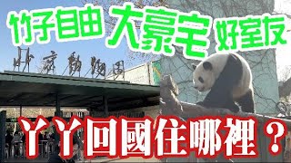 丫丫即將回國　記者直擊北京動物園熊貓館　看住所準備情況！