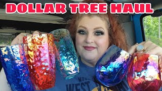 DOLLAR TREE HAUL | SPECTACULAR WISH LIST ITEMS | May 30, 2023