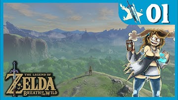 Open Your Eyes | The Legend of Zelda: Breath of the Wild #1