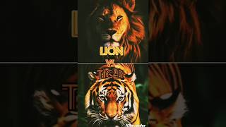 Lion vs Tiger animals lion tiger debate shorts