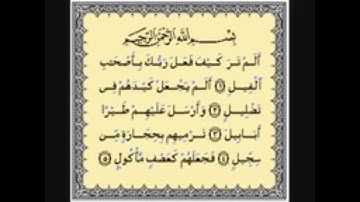 تلاوة خاشعة ومؤثرة جدا من سورة الفيل