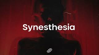 dolshi - without you