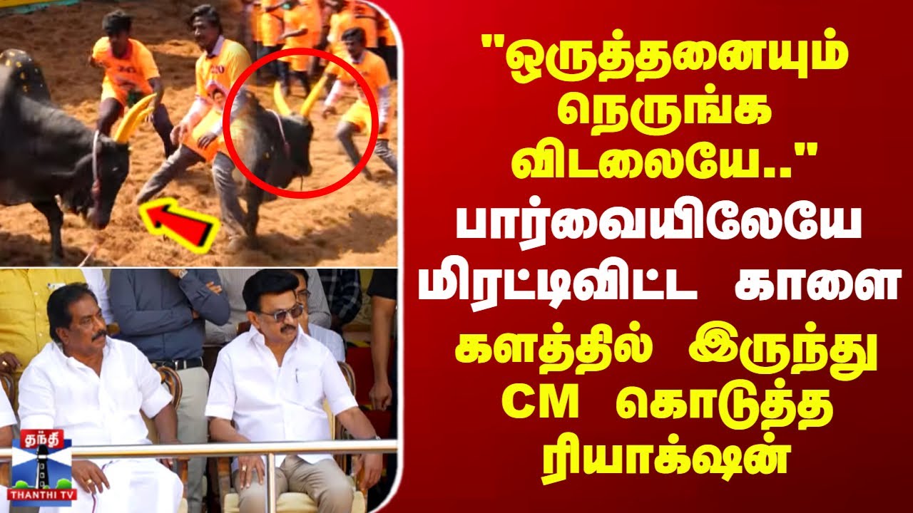 Alanganallur Jallikattu | பார்வையிலேயே மிரட்டிவிட்ட காளை - களத்தில் இருந்து CM கொடுத்த ரியாக்‌ஷன்
