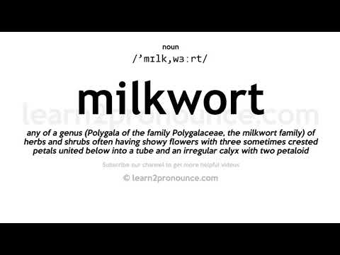 Video: Apakah itu milkwort oren?