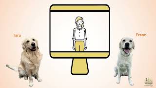 Dogs imitate actions demonstrated from an online meeting software - Video abstract screenshot 4