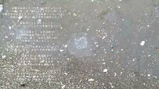 【水曜日の容赦】1,水曜日の容赦/初音ミク
