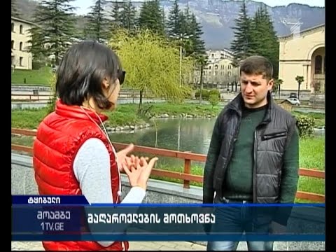 ტყიბულის მეშახტეები ჯანდაცვის სამინისტროს მონიტორინგის დასკვნის გასაჯაროებას სთხოვენ