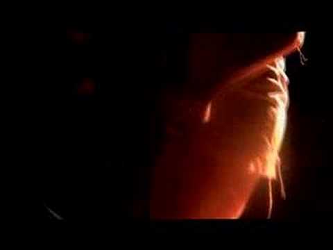 FM Doll (Fuck Me Doll) Video