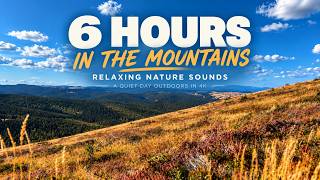 6 Hours in the Mountains 🌿 Relaxing Nature Sounds | A Quiet Day Outdoors in 4K screenshot 4