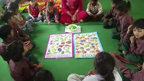 IGNOU DECE 4 Project video Phase 2 Day 11(activity 12)