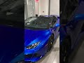 Crazy blue Lamborghini