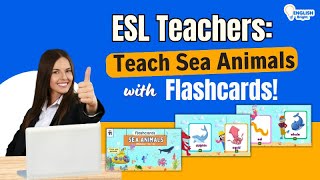 Sea Animals Flashcards For Esl Ocean Animals Flashcards Lesson