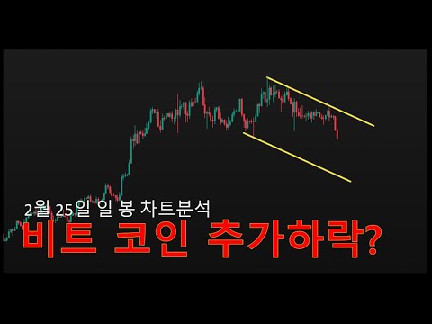 2월 25일 비트코인 일 봉 차트분석(장기투자 관점 공유)