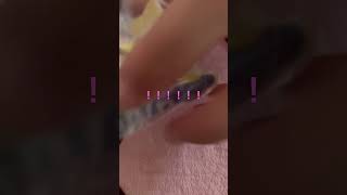 ピュレグミリングコレクション　やったらまさかのシークレットだった！！