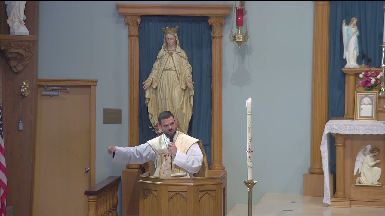 Homily - The sources of sadness and joy