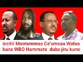 Mootummaa Ce Umsaa Waloo Kana WBO Hammatu Ijaruuf Jedhame Moha Oromo Mootummaa Ce Umsaa Waloo Kana WBO Hammatu Ijaruuf Jedhame Moha Oromo