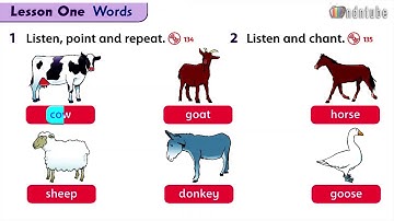 FF2 Unit13 Lesson1 New Words