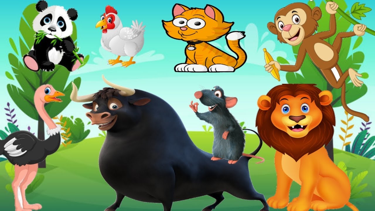 Wildlife Video Animals Video Best Animals compilation Forest Animals Video Wild Animals