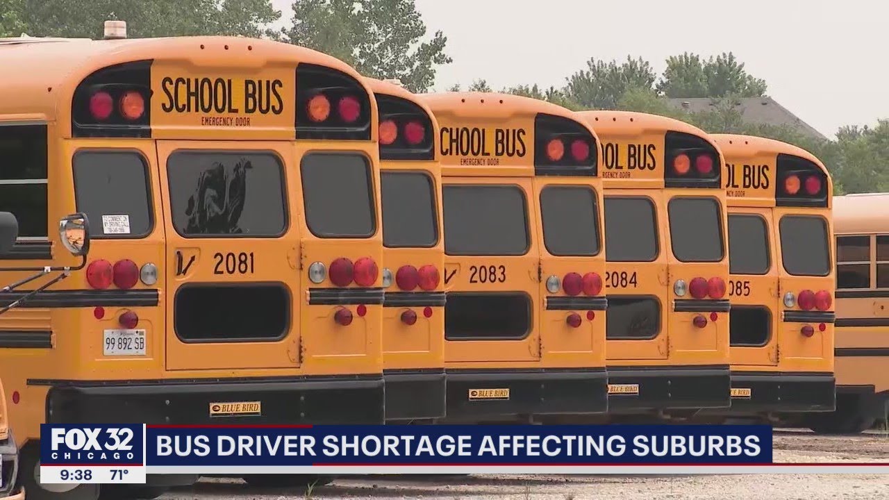 School bus driver shortage affecting suburban Chicago - YouTube