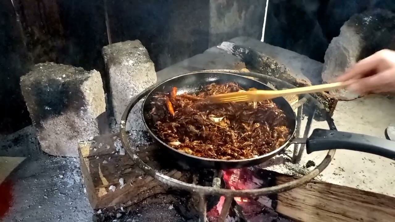 Así preparamos los chapulines con chile 🌶, limón 🍋 y ajo🧄y así de bonito llgo la lluvia ☔️.
