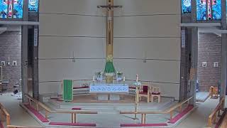St Thomas More, Sheldon