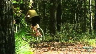 Travel Guide: Florida - Top Outdoor Activities