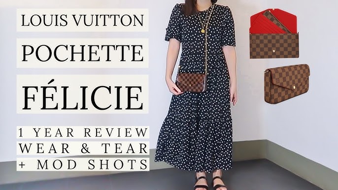 My Newest Bag - Louis Vuitton's Felicie Pochette! - Gin & Pretzels