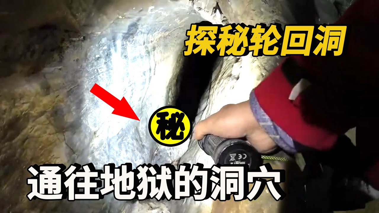 【輪回洞】索降黑暗深淵探秘輪回洞,洞中發現大型不明生物骨骸和海參!看到這個東西讓老鄉直呼快跑? - YouTube